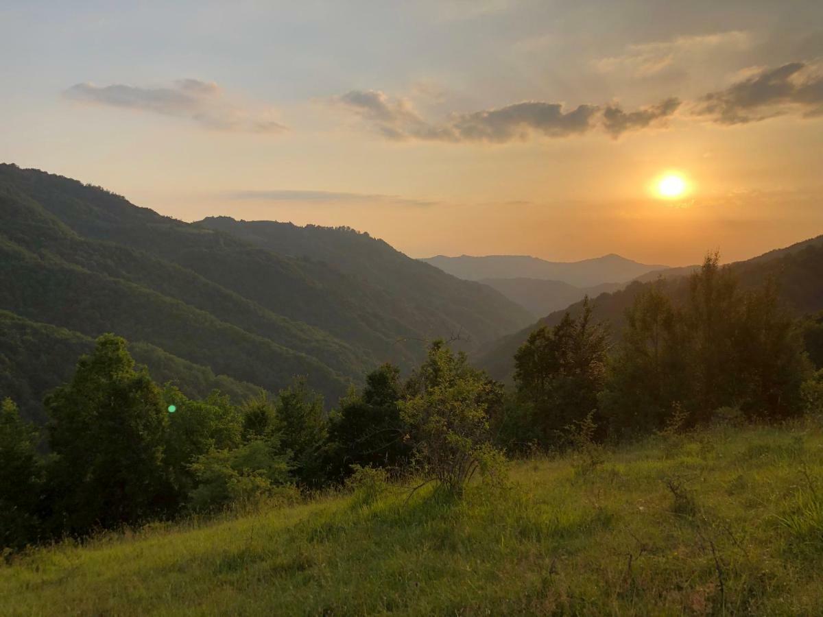 Vila Idila Crni Vrh Екстериор снимка